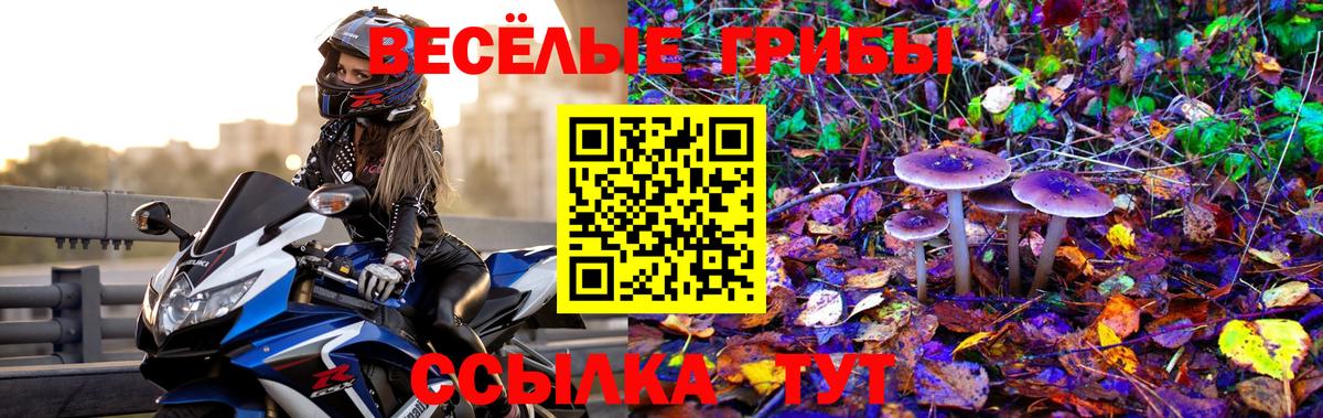 Кулебаки  Псилоцибиновые грибы MAGIC MUSHROOMS  Вход с VPN 